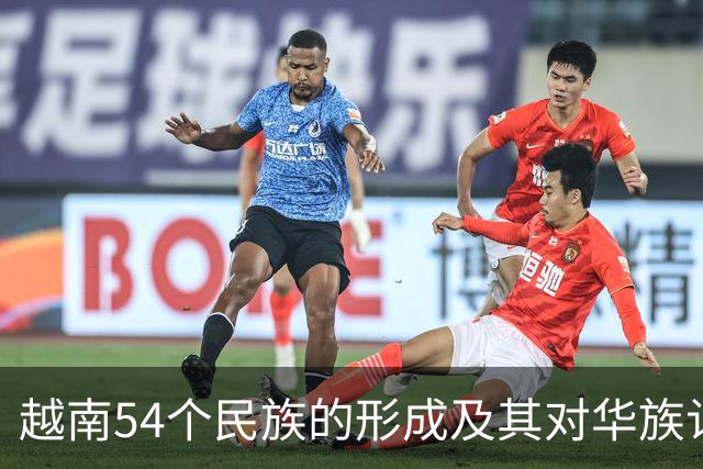 越南54个民族的形成及其对华族认定的多重视角